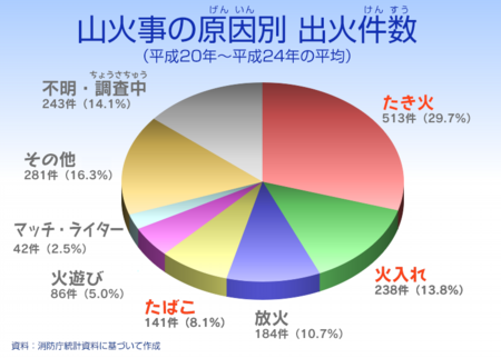 山火事原因.png